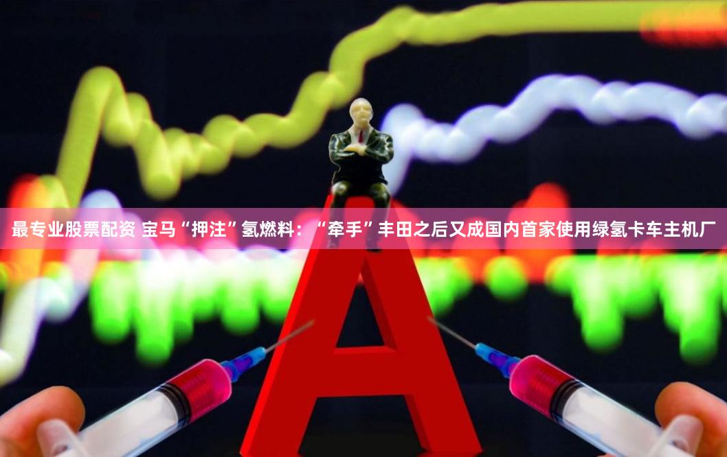最专业股票配资 宝马“押注”氢燃料：“牵手”丰田之后又成国内首家使用绿氢卡车主机厂
