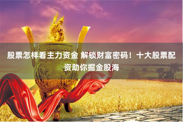 股票怎样看主力资金 解锁财富密码！十大股票配资助你掘金股海